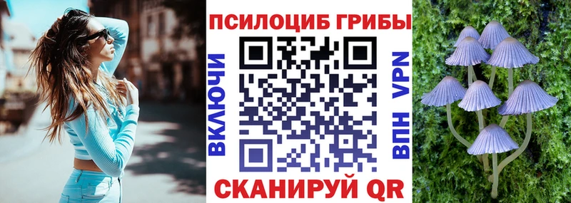 площадка официальный сайт  Белогорск  Псилоцибиновые грибы Magic Shrooms 